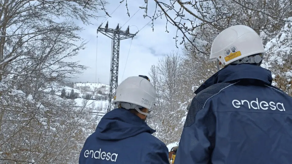 Endesa red electrica