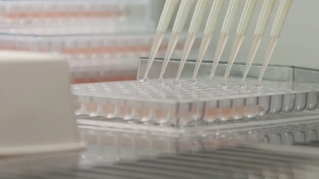 Laboratorio investigacion farmacia