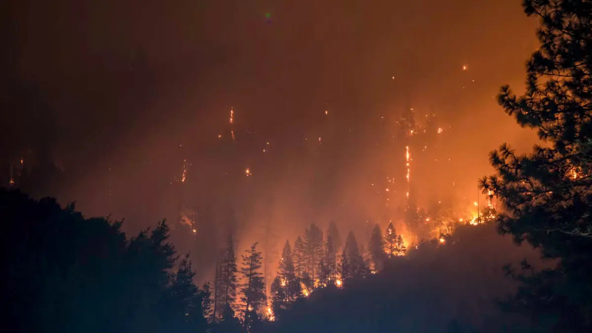Incendio