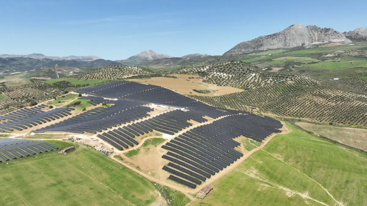 Greening, Planta fotovoltaica Antequera-Casabermeja, Málaga