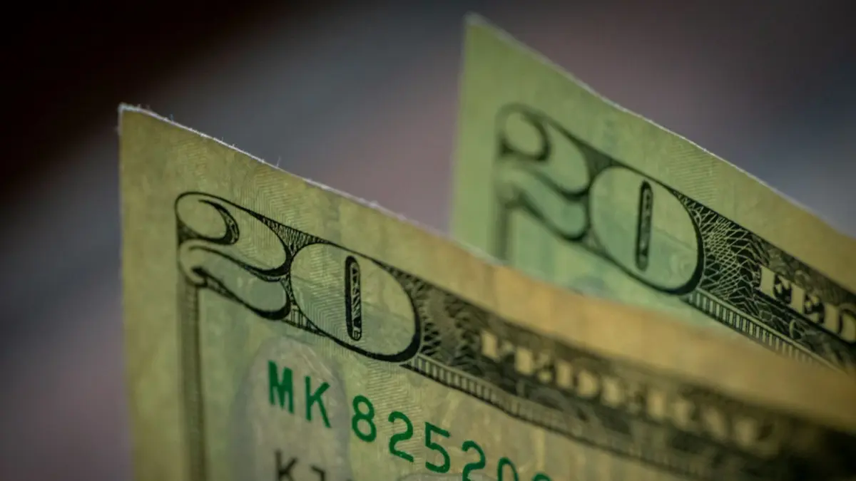 Dólar detalle