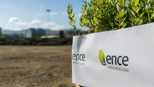 Grupo Ence