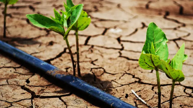 cambio_climatico