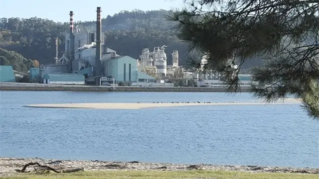 Fábrica de Grupo Ence en la ría de Pontevedra