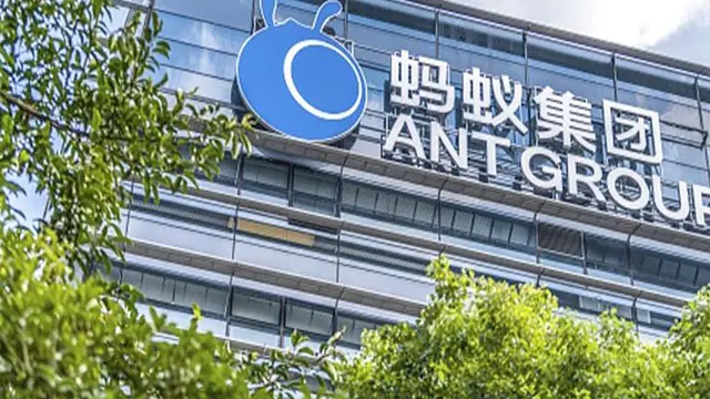 Ant