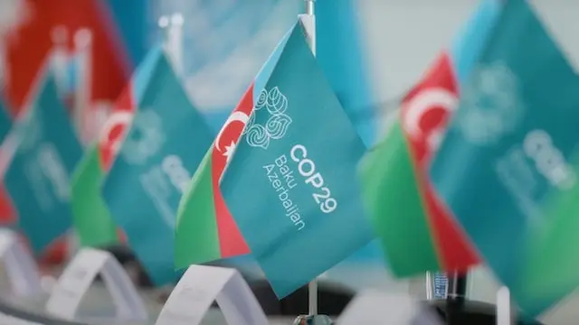 COP29