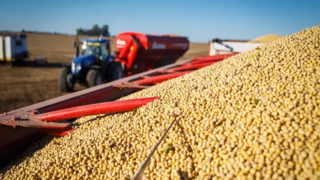 Exportaciones agrícolas de EEUU