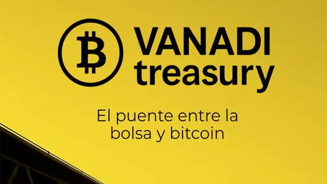 Logo de Vanadi Treasury