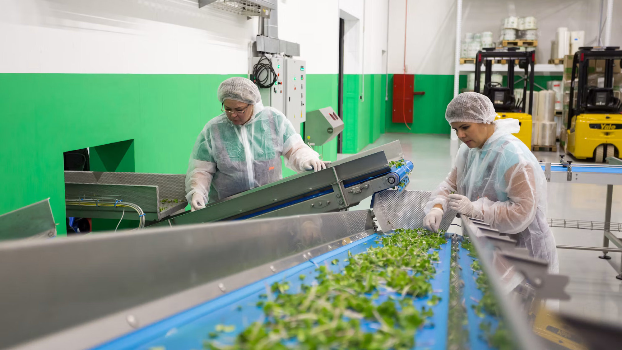 Trabajadoras
