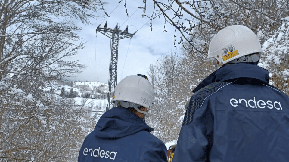 Endesa red electrica