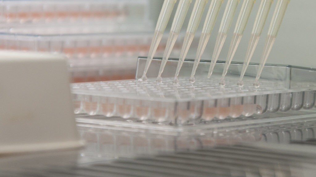 Laboratorio investigacion farmacia