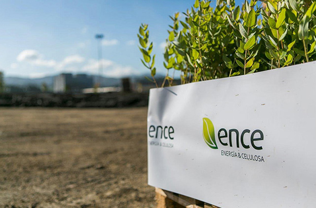 Grupo Ence