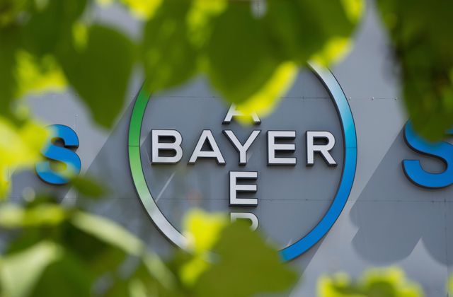 Bayer-Logo